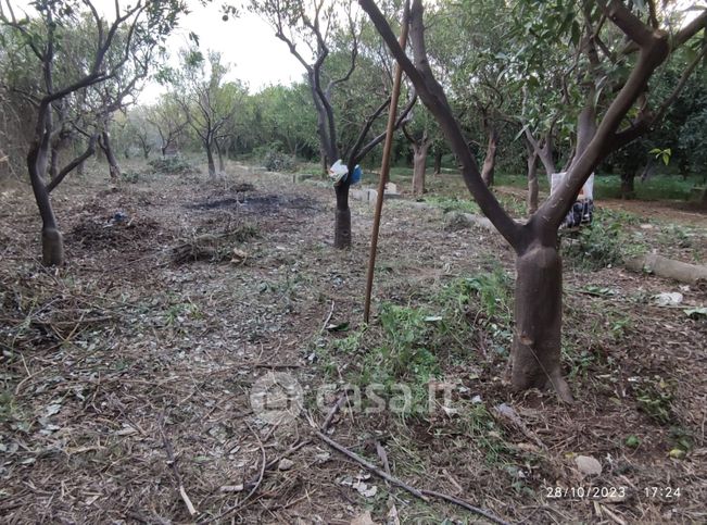 Terreno agricolo in commerciale in Via Giuseppe Tomasi di Lampedusa