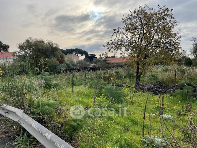 Terreno agricolo in commerciale in Via delle Sciare