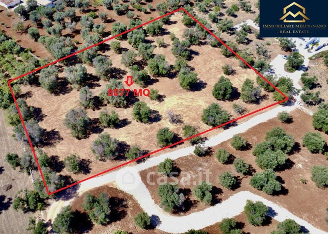 Terreno edificabile in residenziale in Strada Provinciale 28