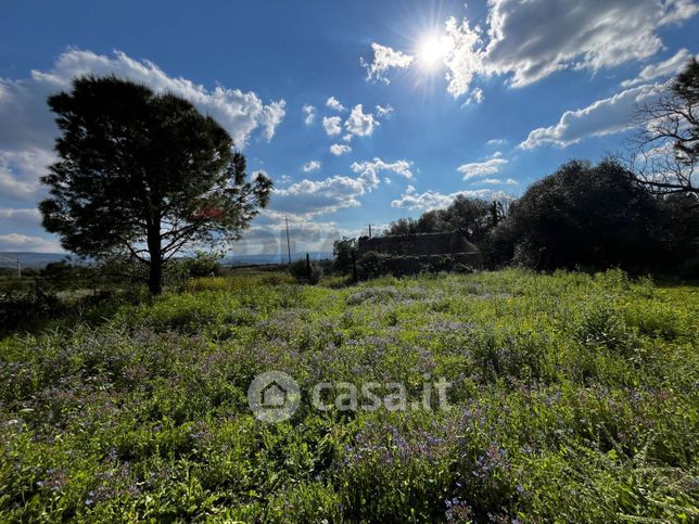 Terreno agricolo in commerciale in SS194 13