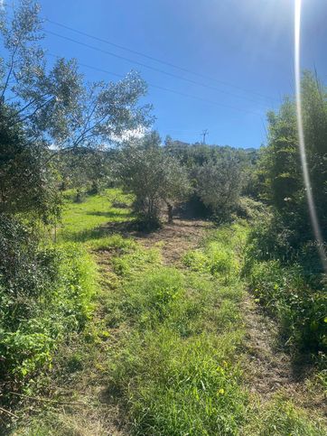 Terreno agricolo in commerciale in Via Case Bianche