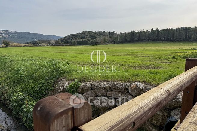 Terreno agricolo in commerciale in Strada Senza Nome