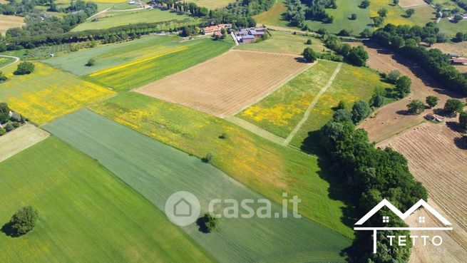 Terreno agricolo in commerciale in Vocabolo Vescovio