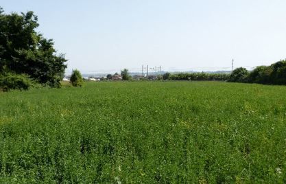 Terreno agricolo in commerciale in Via Montanari