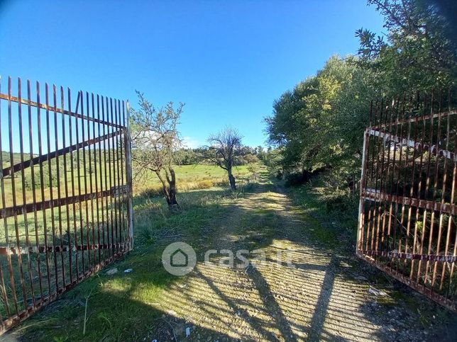 Terreno agricolo in commerciale in Contrada Albanello