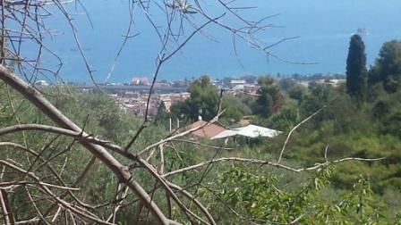 Terreno agricolo in commerciale in Contrada Carasi