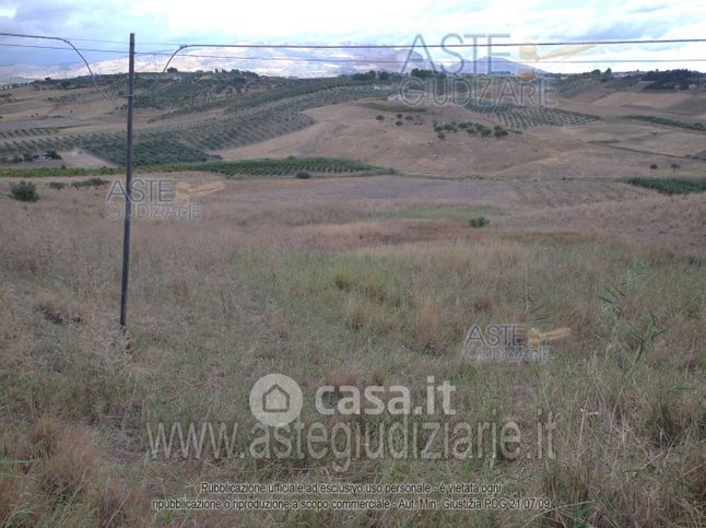 Terreno agricolo in commerciale in 