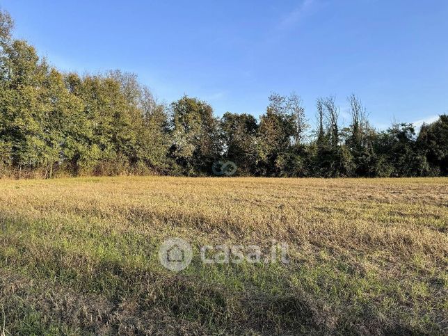 Terreno agricolo in commerciale in Via dei Rovaroli