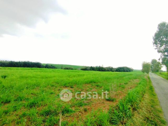 Terreno agricolo in commerciale in Via delle Pertucce