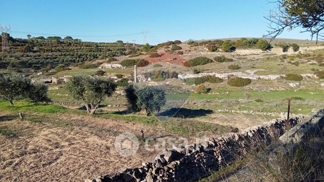 Terreno agricolo in commerciale in Strada Provinciale 124