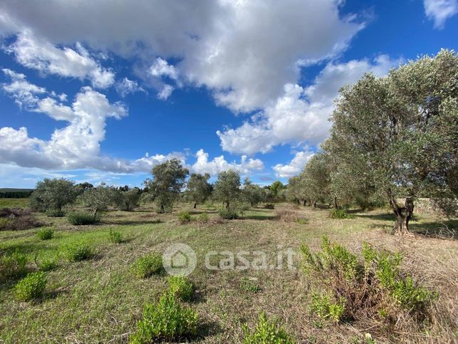 Terreno agricolo in commerciale in 