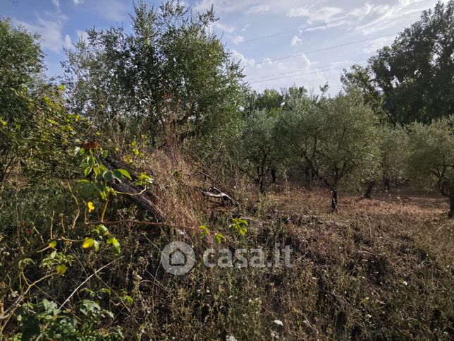 Terreno agricolo in commerciale in Via Creta Rossa