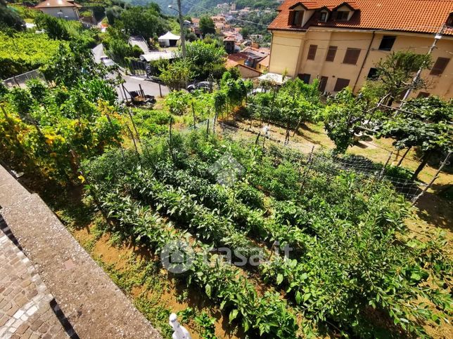 Terreno agricolo in commerciale in Via Muriscolo