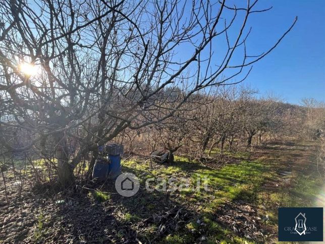 Terreno agricolo in commerciale in Via Abate