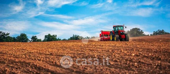 Terreno agricolo in commerciale in SP1 1