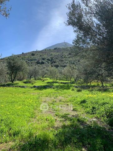 Terreno agricolo in commerciale in Via Torretta