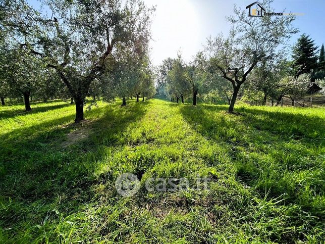 Terreno agricolo in commerciale in 