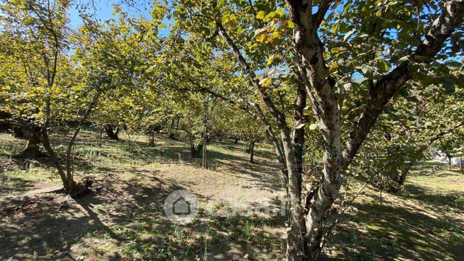 Terreno agricolo in commerciale in 