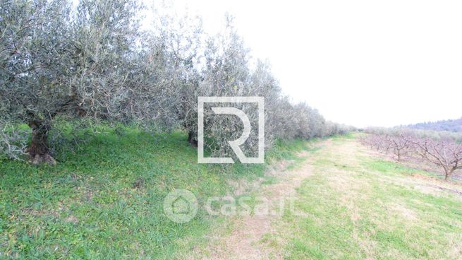 Terreno agricolo in commerciale in Via Roncona 3