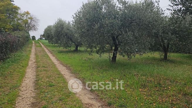 Terreno agricolo in commerciale in Via Cesare Ottaviano Augusto