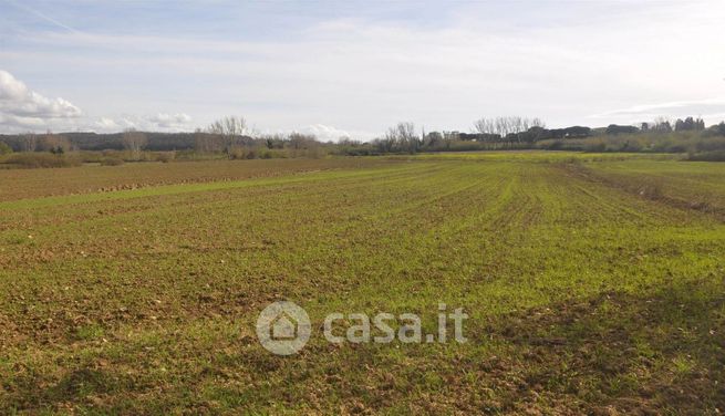 Terreno agricolo in commerciale in Traversa Livornese