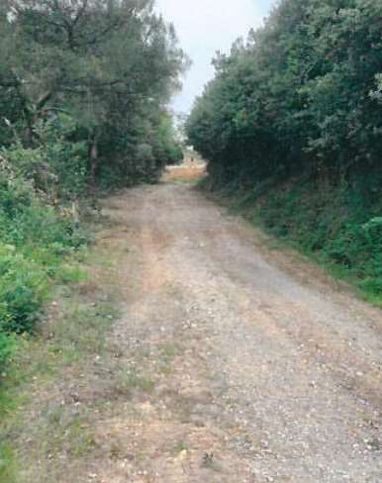 Terreno agricolo in commerciale in Località Cibottola