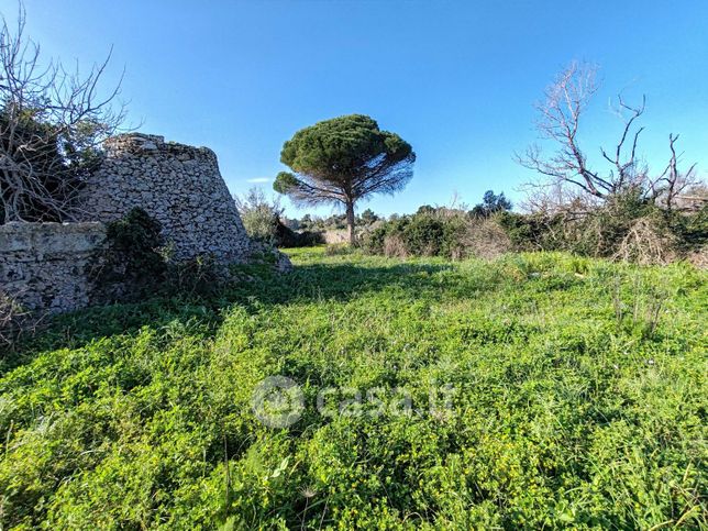 Terreno agricolo in commerciale in carcare