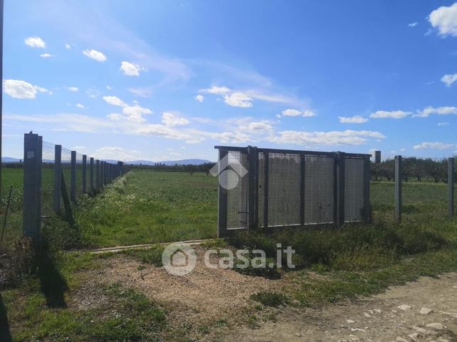 Terreno agricolo in commerciale in Via Troia