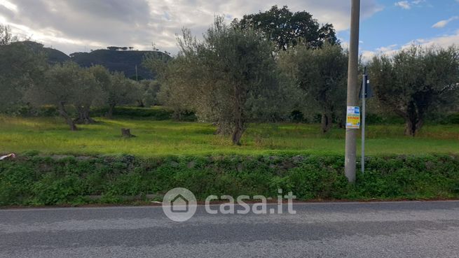 Terreno agricolo in commerciale in Strada STATALE SPARTA'