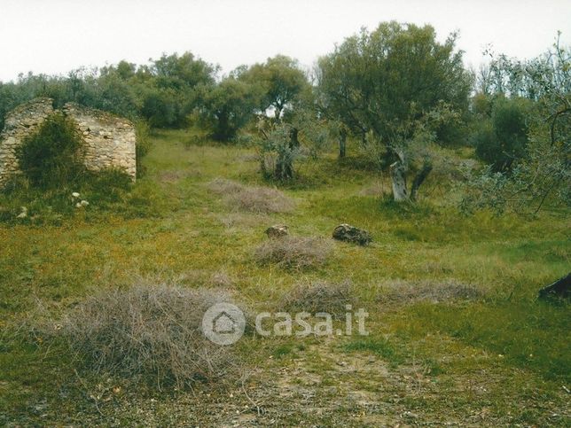 Terreno agricolo in commerciale in ruviano