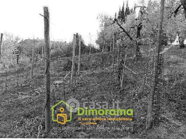 Terreno agricolo in commerciale in Via Santa Maria Novella