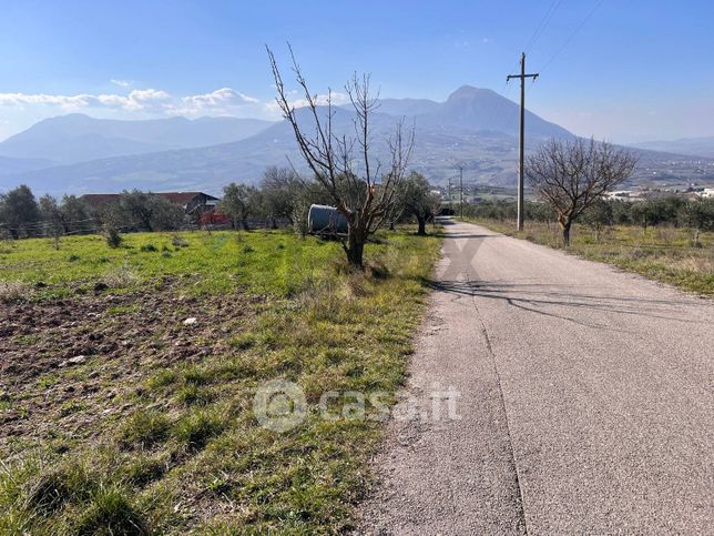 Terreno agricolo in commerciale in Contrada Lammia