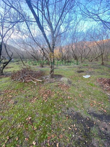 Terreno agricolo in commerciale in 