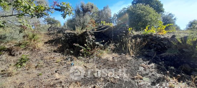 Terreno agricolo in commerciale in Strada Provinciale 120