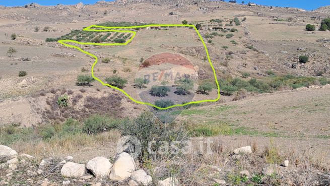 Terreno agricolo in commerciale in Strada Provinciale 24bis