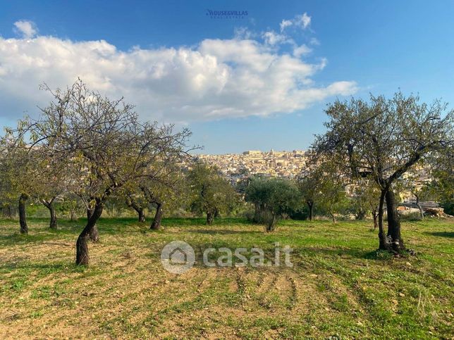 Terreno agricolo in commerciale in Strada Senza Nome