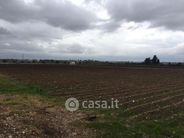 Terreno agricolo in commerciale in 