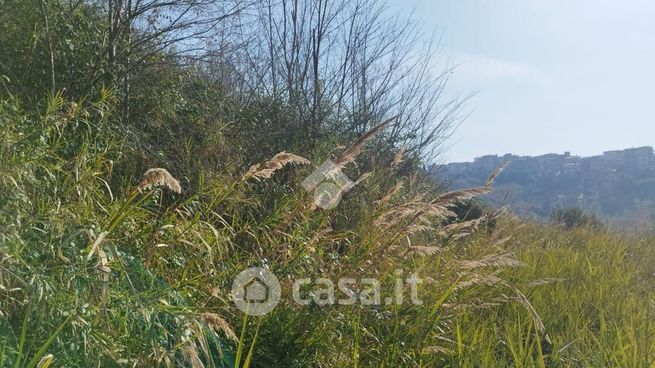 Terreno agricolo in commerciale in Via Monte San Salvatore 37