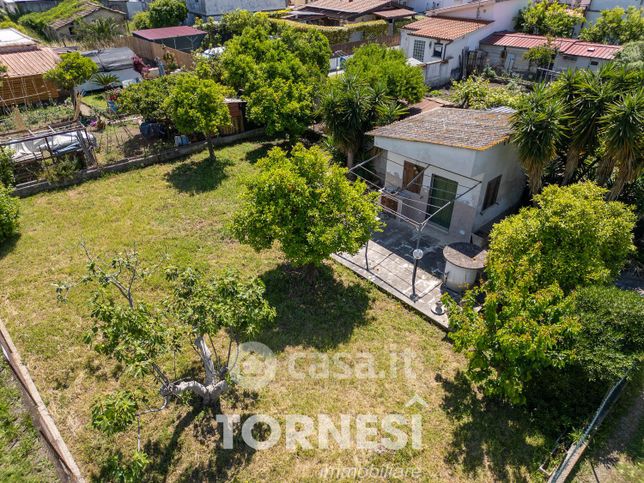 Terreno agricolo in commerciale in Via Pantanelle