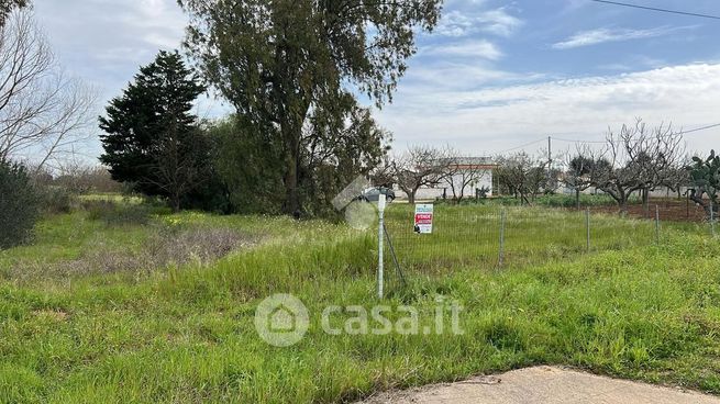 Terreno agricolo in commerciale in Strada Provinciale 54