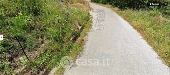 Terreno agricolo in commerciale in Contrada Filosi