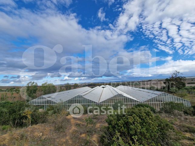 Terreno agricolo in commerciale in 