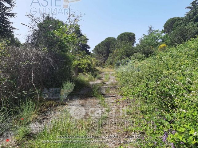 Terreno agricolo in commerciale in 