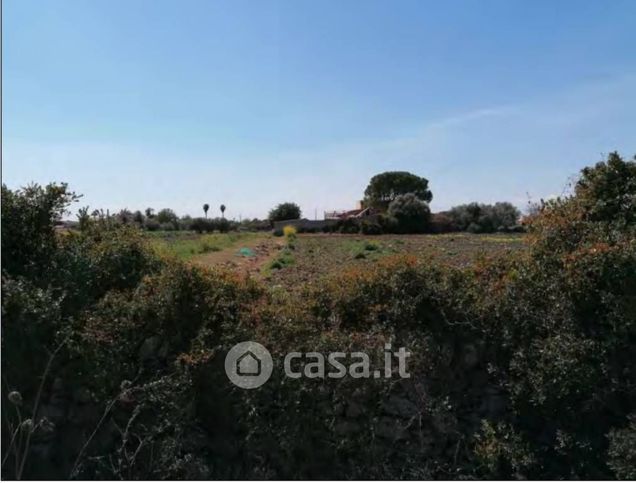 Terreno edificabile in residenziale in Strada Capo Murro di Porco