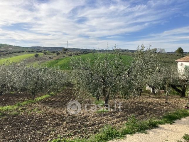 Terreno agricolo in commerciale in 