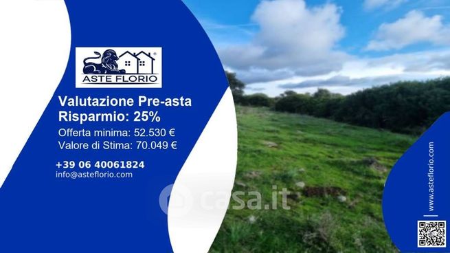 Terreno agricolo in commerciale in Strada Provinciale 23
