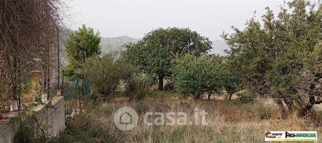 Terreno agricolo in commerciale in Contrada Catalano