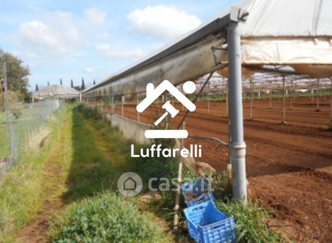 Terreno agricolo in commerciale in Piazza del Popolo