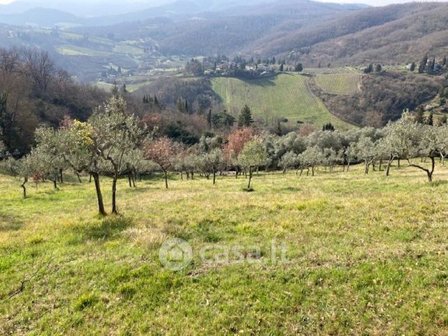 Terreno agricolo in commerciale in Via Cintoia Alta