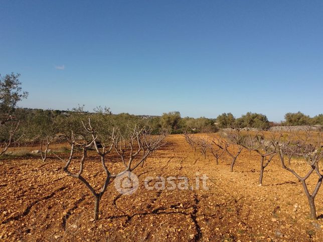 Terreno agricolo in commerciale in Contrada Ciampacotta